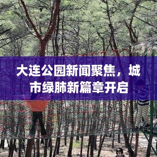 大連公園新聞聚焦，城市綠肺新篇章開(kāi)啟