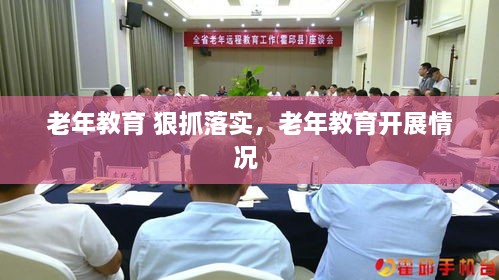 老年教育 狠抓落實(shí)，老年教育開展情況 