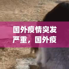 國外疫情突發(fā)嚴(yán)重，國外疫情形勢嚴(yán)峻 