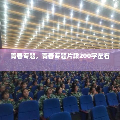 青春專題，青春專題片段200字左右 