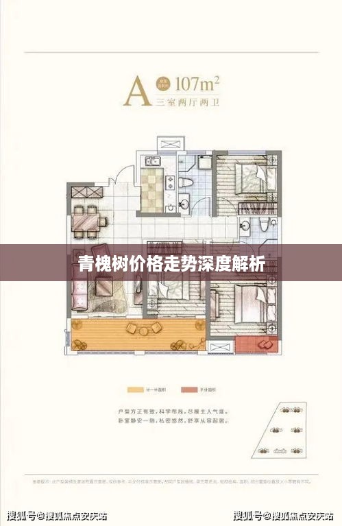 青槐樹價(jià)格走勢深度解析