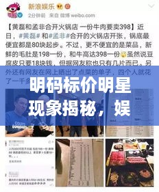 明碼標(biāo)價明星現(xiàn)象揭秘，娛樂圈的新挑戰(zhàn)與觀察