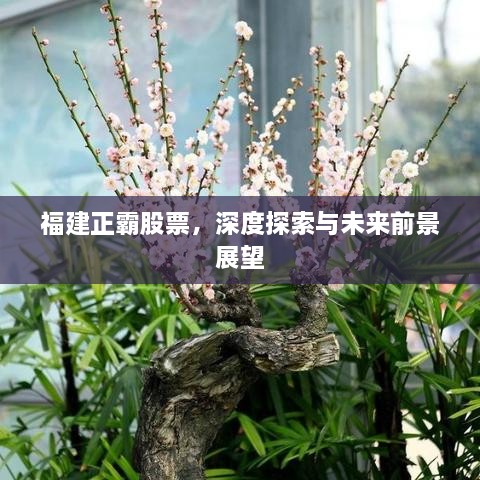 福建正霸股票，深度探索與未來(lái)前景展望