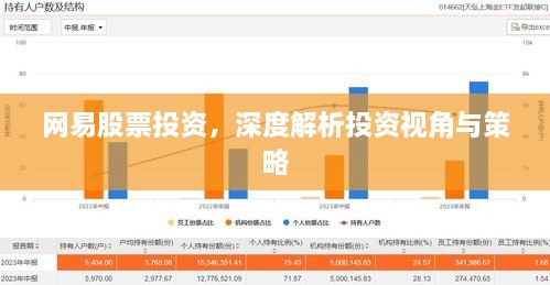 網(wǎng)易股票投資，深度解析投資視角與策略