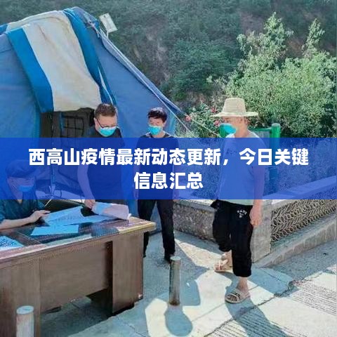 西高山疫情最新動態(tài)更新，今日關鍵信息匯總