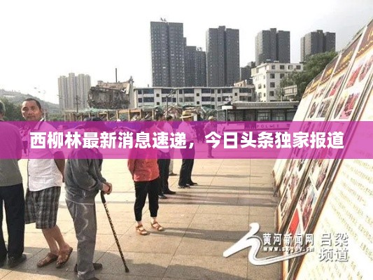 西柳林最新消息速遞，今日頭條獨(dú)家報(bào)道