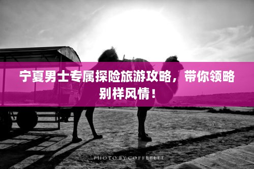 寧夏男士專屬探險旅游攻略，帶你領(lǐng)略別樣風(fēng)情！