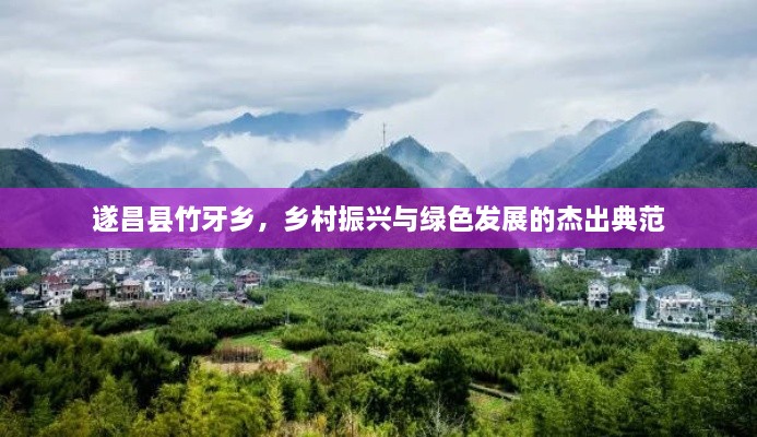 遂昌縣竹牙鄉(xiāng)，鄉(xiāng)村振興與綠色發(fā)展的杰出典范