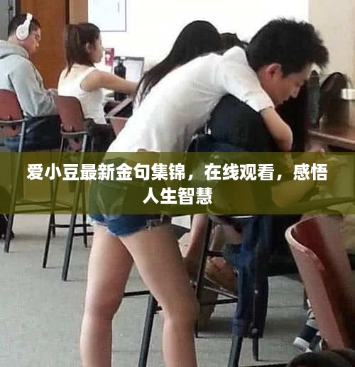 愛小豆最新金句集錦，在線觀看，感悟人生智慧
