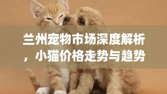 蘭州寵物市場深度解析，小貓價(jià)格走勢與趨勢探尋