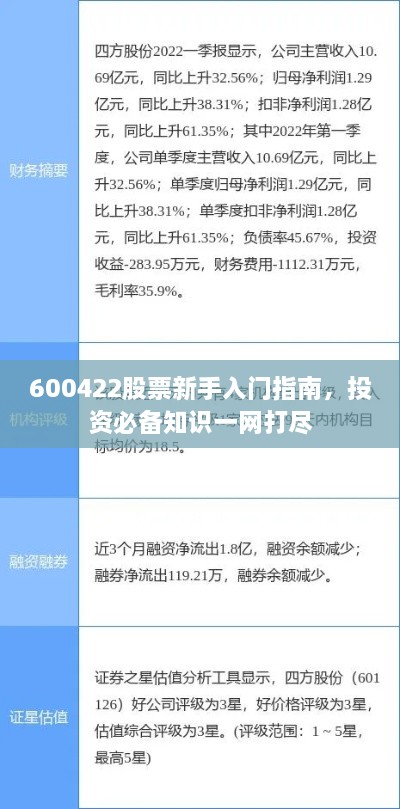 600422股票新手入門指南，投資必備知識一網(wǎng)打盡